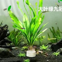 ˮ��ֲ���~������쾰ˮ����B�ͻ�����b���ԃ���ˮ�|���Bȫ��