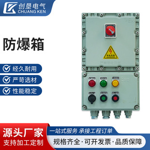 Explosion-Proof Box Explosion-Proof Maintenance Box Lighting Power Switch Plug Socket Instrument Control Distribution Cabinet