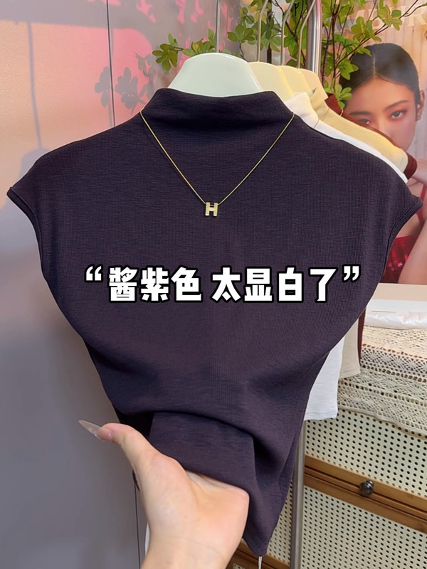 2025秋冬新款韩版百搭飞飞袖短款修身酱紫T恤女立领打底衫上衣潮|undefined