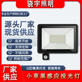 投光灯;工矿灯;路灯