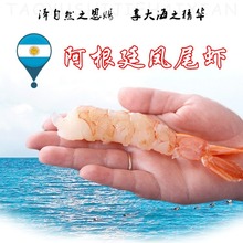 阿根廷红虾凤尾虾仁野生海捕 高档酒店海鲜食材 支持大量批发采购