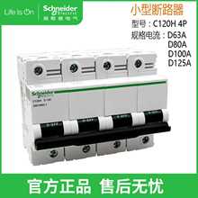 Schneider/ʩ͵С͔·C120H 4P D100 GB10963.1 A9N19823