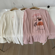 薄款雪花棉2025夏季卡通印花圆领T恤女减龄百搭防晒长袖上衣罩衫