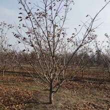 ���ع���ɽ������ ��t�Ӵ���Ǵ������СҎ���Rȫɽ高���