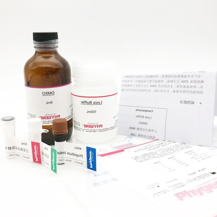 DNA损伤检测试剂盒-彗星法 DNA Damage kit [PH9143 PHYGENE]