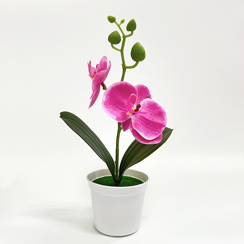 로즈 레드 (높이 25*가로 13cm)