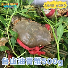 鲜活发货 台山油膏蟹非黄油蟹满膏母蟹青蟹红鲟正季大螃蟹500g