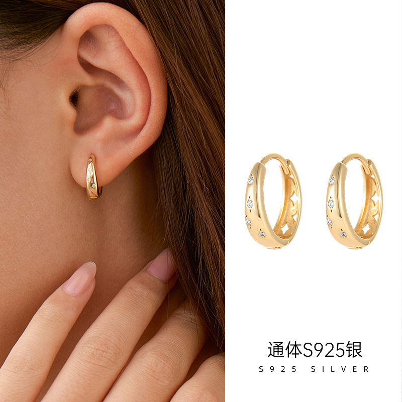 榕树下S925银2025新款满天星耳环女轻奢ins冷淡风镀K金耳圈耳饰|undefined