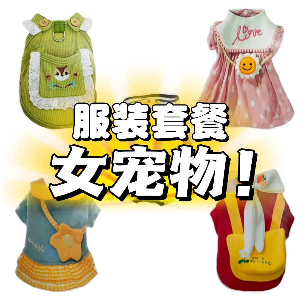 Домашние животные сжигают бумажные кошачьи жертвенные принадлежности