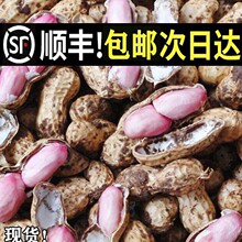 2025���Ĵ��������r�����츮����������������tƤ��Ƥ�F�ڬF�l