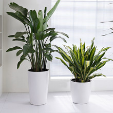 ��[ϵ�д�̖�ش�̖�����������ˮ���躆�s���W�L���ʽ�Nֲ��