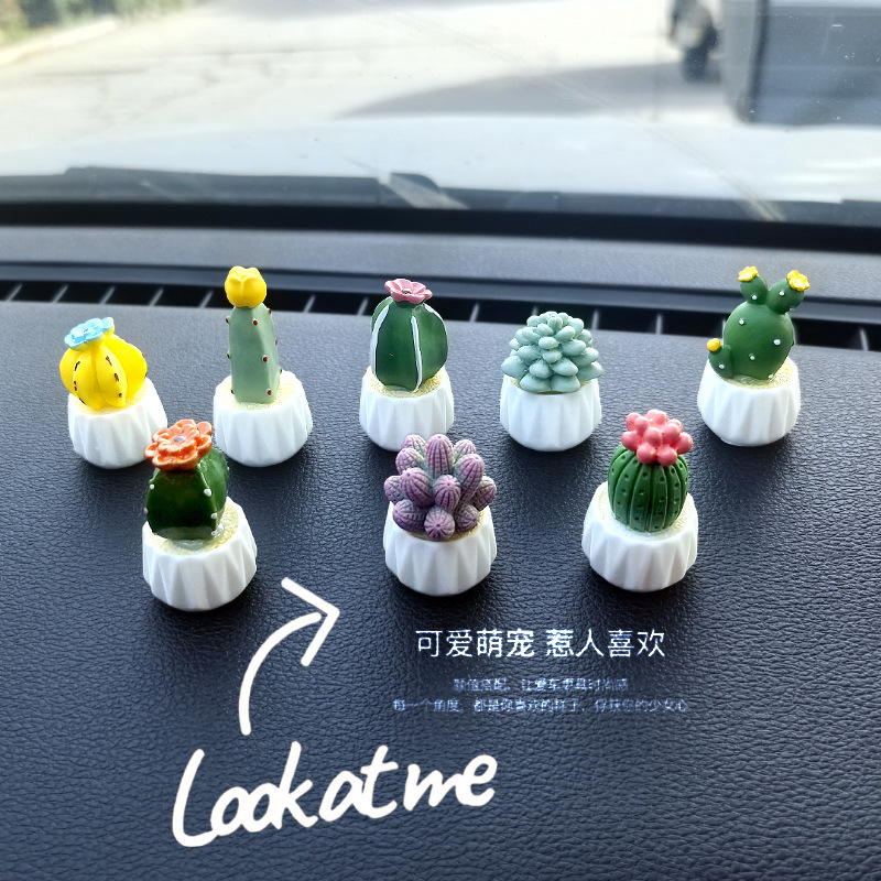 Cartoon net net net cactus suculento interior de coche pequeños accesorios decoración de coche consola central de coche decoración de coche