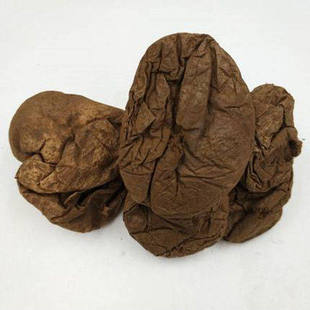 �R�� �䱳�R�� �R��� �R�S���Ұ��� �R�����]��؛��