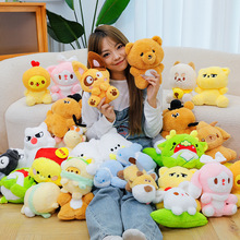 ��ͨ8��ץ�C����С؛���l�ɐ�ë�q�����ż��ͯץ���޻�c����