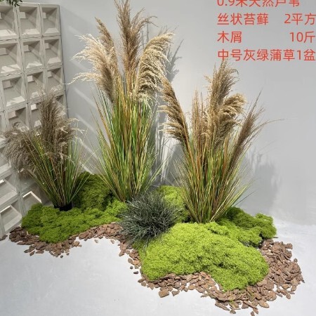 仿真芦苇干花假花北欧ins风客厅玄关插花橱窗隔断装饰绿植造景|undefined