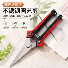 厨用剪刀;修枝剪;家用剪刀