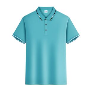 ��ʿ�¿�Polo��T���п�����ļ��gɫ���I�Ļ���