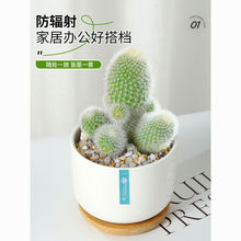 ���������ԽM��ֲ������՚��҃��_�����B�k��������X���˚�����