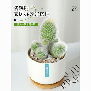 ���������ԽM��ֲ������՚��҃��_�����B�k��������X���˚�����