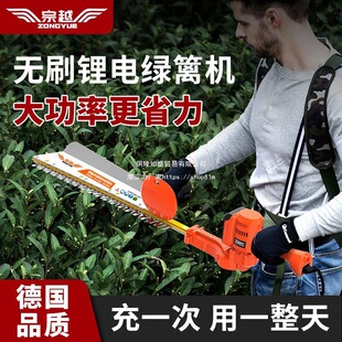 Brushless Lithium Electric Hedge Trimmer, Landscaping Tea Cutter, Tea Shrub Pruner, Rechargeable Tea Picker