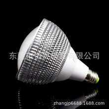 30W  PAR38 ��Ƭ�׼�    ��32�w�W˾�ʹ�Դ�� ���ݟ��׼�