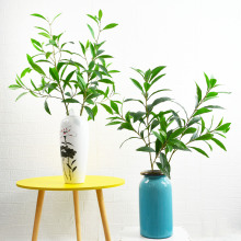 �ָз����Ҹ����~���ϙ�֦��֦���^���̻��Ę�����ϏS�����l