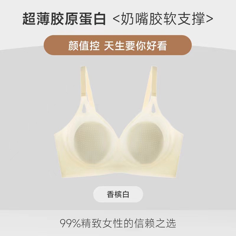 샴페인 화이트