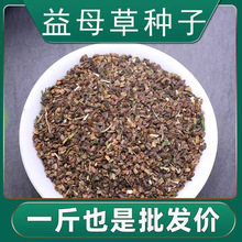 ɢbĸݷNrĸݷNļNֲș߀мtwN