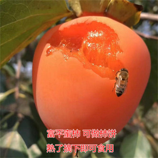 ��ƽ̨�����������Ә�������������޽��ձ����������ϱ�������Y