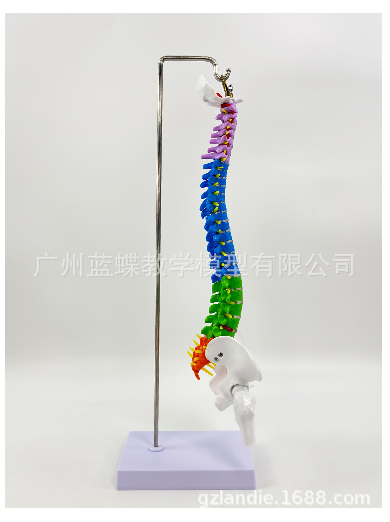 详情_08
