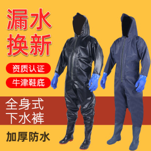 ȫ����ˮѝ�Ӻ����z��ˮѝ��ˮѝ���~ˮѝ��~��һ�w�B�w��ˮ��