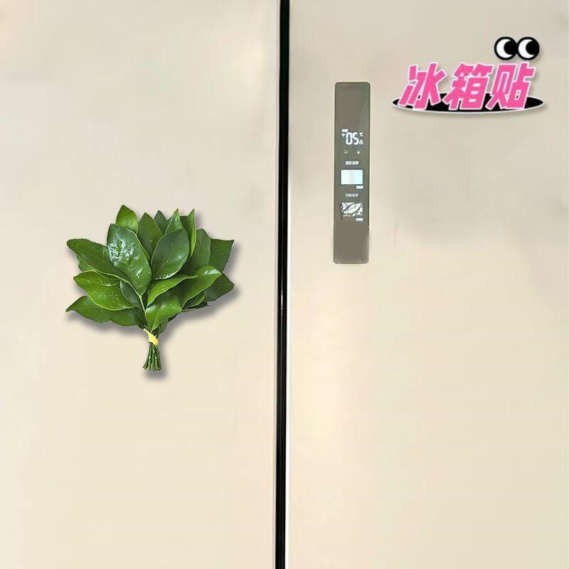 Grapefruit Leaf Refrigerator Magnet Lucky Acrylic Creative Niche Quirky Gift Refrigerator Decoration Cultural and Creative Product