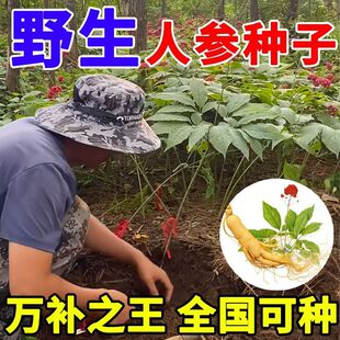 �˅��N���˅����҃��������ș�ķN�Ӷ༾�̨ͥԺ�����ļ��N�׻�