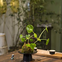 �~ǧ�~�ļ����R���С����ļ������ؔ����΢�辰