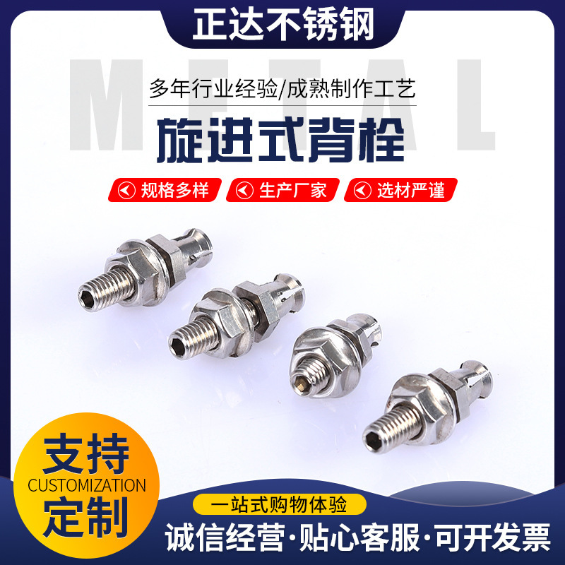 Stainless Steel 304 316 Knock-In Back Bolt, Screw-In Back Bolt, Expansion Screw, Marble Pendant Bolt