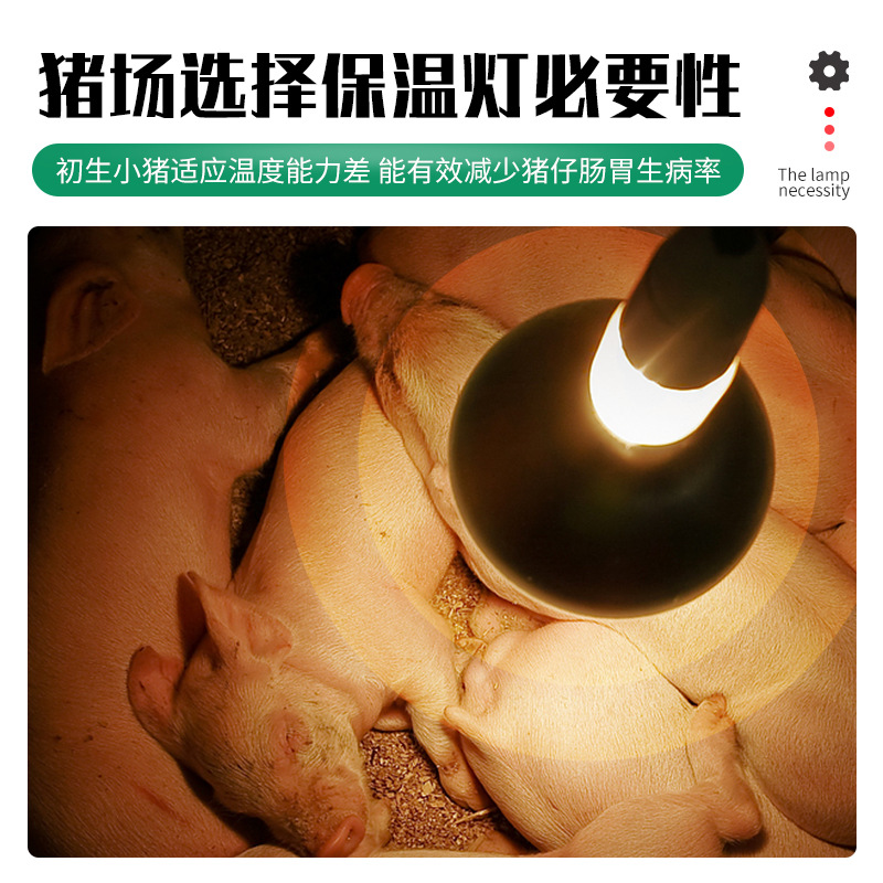 Lámpara de calentamiento a prueba de agua a prueba de explosiones para cría de cerdo grueso para calentamiento animal