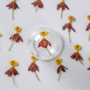 ����� �ɻ�����diy���lѺ�� ������������y̨��Ϟ�T����