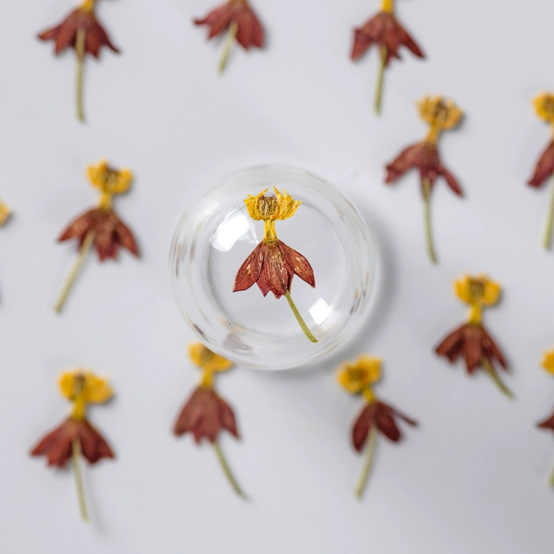 Танцующая трава сушеный цветок с тиснением DIY оптовый цветок можно использовать как закладки лепестки макияж настольная лампа свеча Шелковый веер