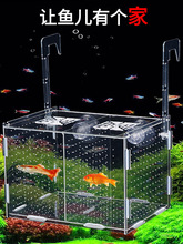 鱼缸分养盒隔离亚克力孔雀繁殖盒乌龟苗热带幼小鱼孵化箱可调高度