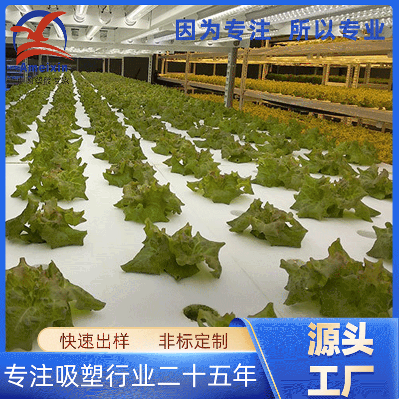 abs厚片吸塑加工苗床托盘 大型吸塑热压成型潮汐盆塑料外壳直销