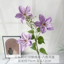 ��֧3�^�ذ��F��ɏ ���滨�ٻ��Ҿӿ͏d�b�c�����羳��؛�S��