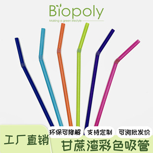 Colorful Sugarcane Straw Disposable Biodegradable Environmentally Friendly Straw Multi-Specification Milk Tea Coffee Universal