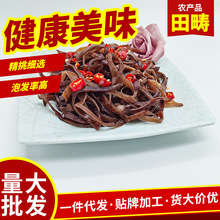 ��·�۰ױ���ľ���z��؛�����׾��Ƀ��o�s�|ľ���z�W��ľ���z���l