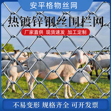厂家批发矿用巷道支护网煤矿互帮网井下支护产品矿用菱形网勾花网