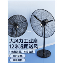 ���I�u�^��L�ȏ����������ţ���ȴ��L�����ʽ����ȩ���S����