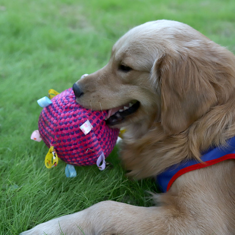 犬の訓練用ソフトボール、布ボール、猫と犬のおもちゃのボール、噛みつき可能、投げるおもちゃのボール|undefined