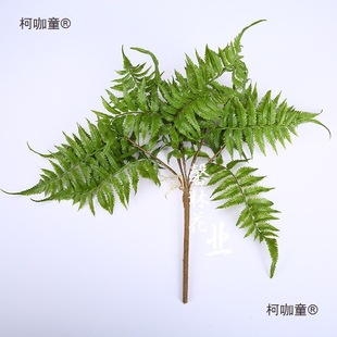 Pβާٲާݲ˹ݲ˹~ֲŲXާGɫŹ̫