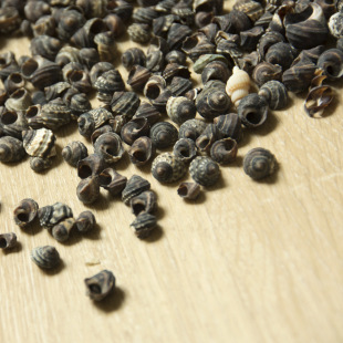 ��Ȼؐ��С�������l ��ɫС�݆��� �b����DIY�ֹ�С����