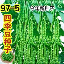 ժƷ97-5ܶNӸ߮aNļǷNӴﲥ߲˷N