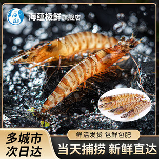 ���N�O�r�����r���r������r �Ź��r���r���r���r����ʳ�� 30ֻ��